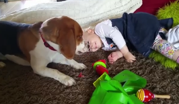 This Baby Girl And Her Beagle Love Spending Time Together