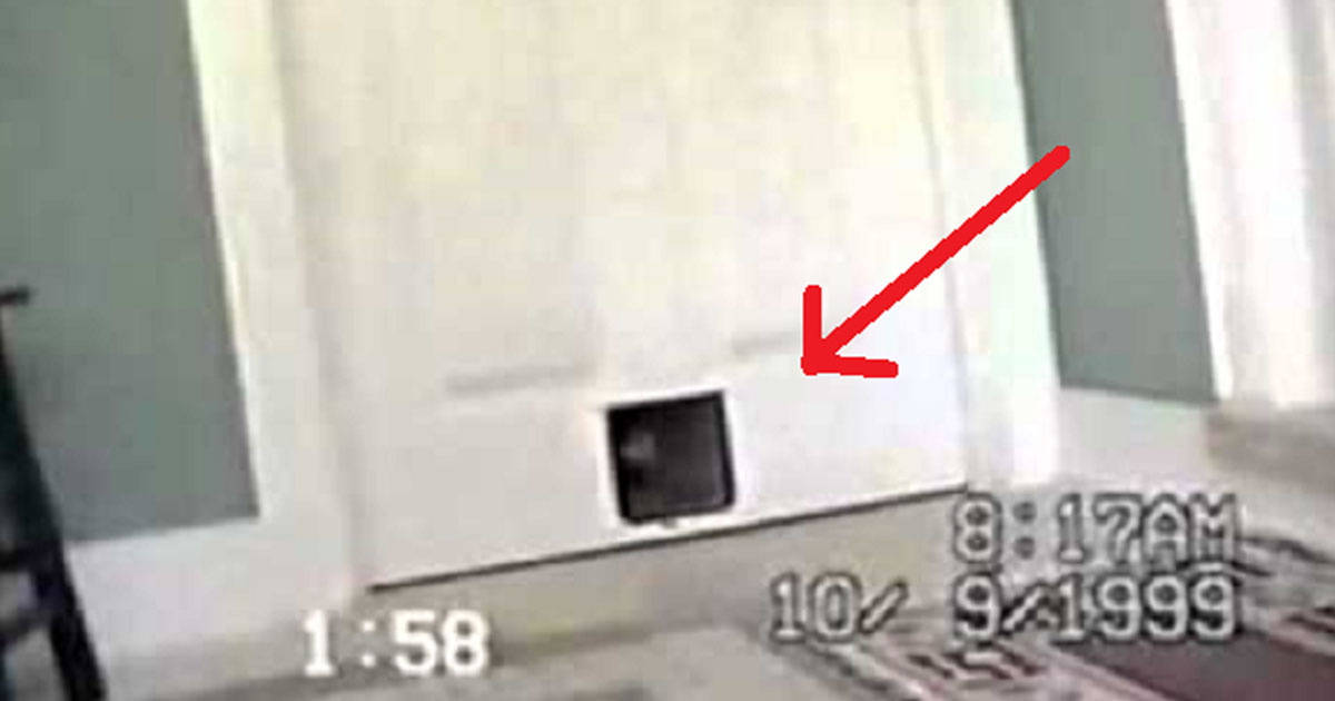 This Couple Didn’t Expect This Visitor To Come Through Their Doggie Door