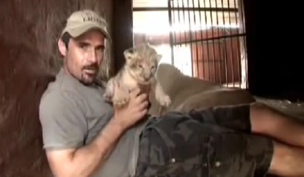 The Moment A Lioness Allows Her Trainer To Hold Baby Cubs Is Priceless