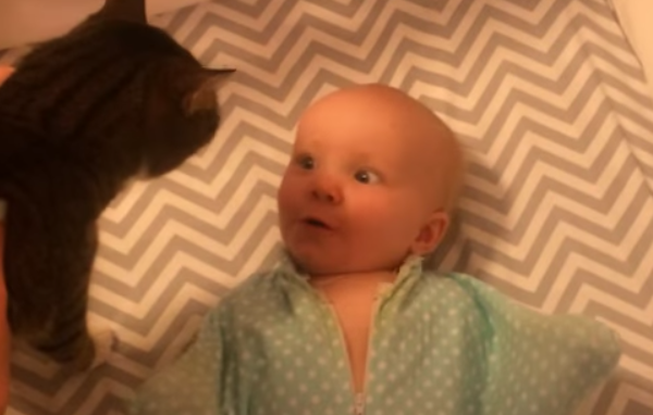 This Happy Baby Has A Special Visitor Put Him To Bed Every Night