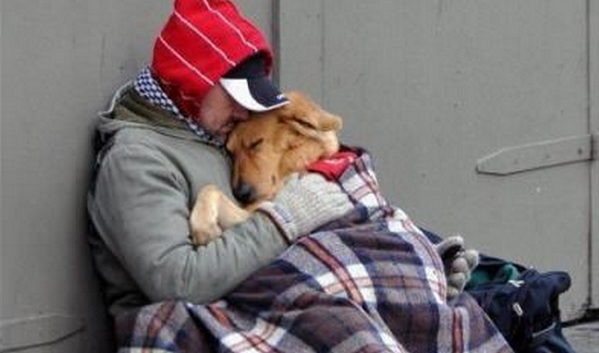 homeless man and dog 
