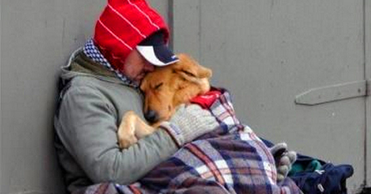 Everyone Else Walked Past This Homeless Guy And His Dog, But One Guy Didn’t. This Is Heartbreaking.