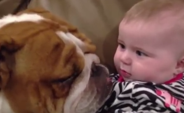 The Relationship Between Dogs And Their Babies Will Melt Your Heart