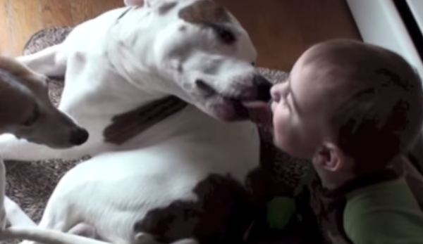 This Baby And His Pitbull Have An Adorable Morning Ritual