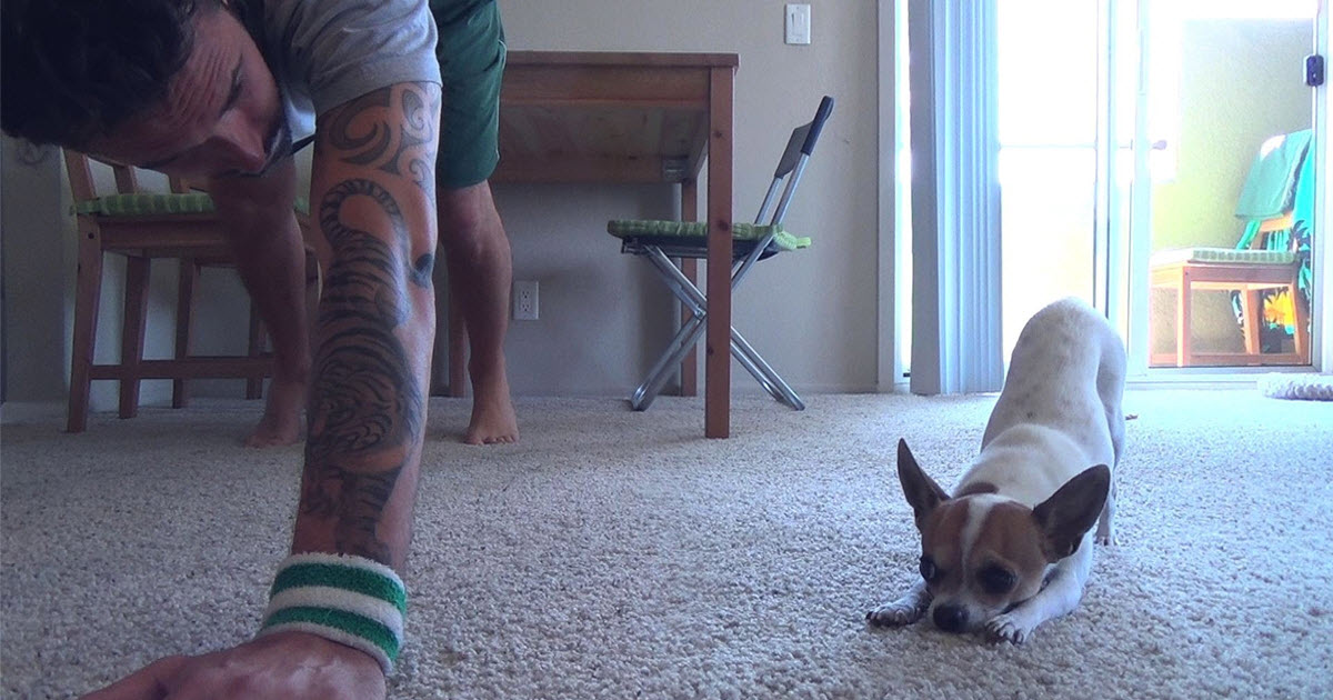 This Is What His Dog Does Every Time He Gets Ready To Do Yoga…