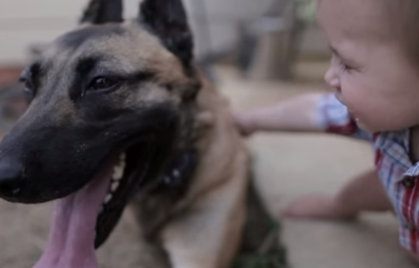 See What This Soldier Does To Repay The Military Dog Who Saved His Life