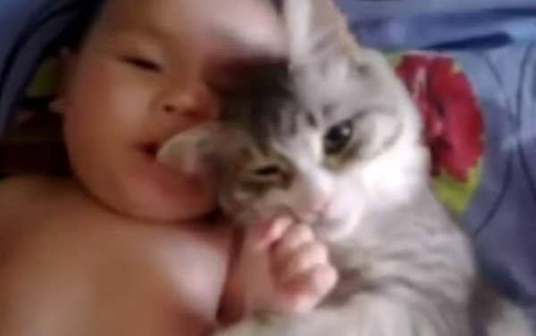 When It Comes  To Cuddling, These Cats Can’t Get Enough Of  Their Babies
