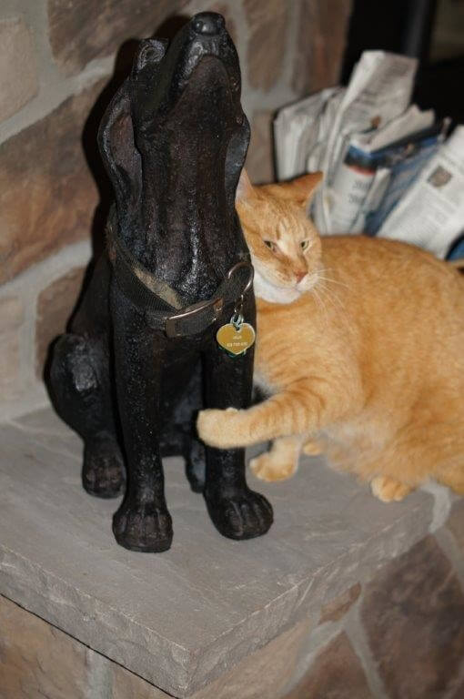 cat loves dog statue Family Cat Was Found Loving A Statute Of His Best Friend