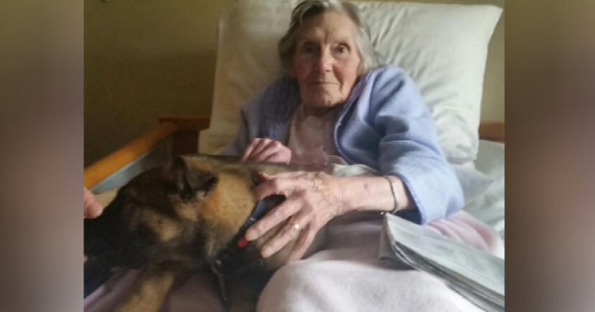 Puppy Visits Nursing Home And Brightens Patients Day