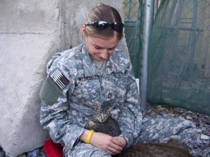 Soldier rescues special needs kitten Special Needs Kitten Rescued By Soldier