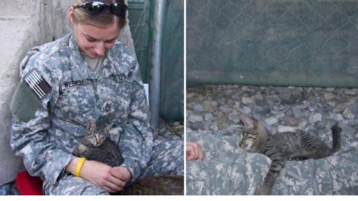 Special Needs Kitten Rescued By Soldier