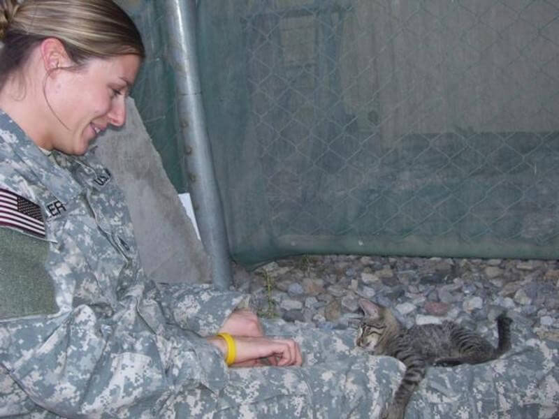 Soldier rescues special needs kitten Special Needs Kitten Rescued By Soldier