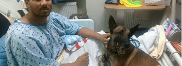 injured soldier and dog share hospital bed