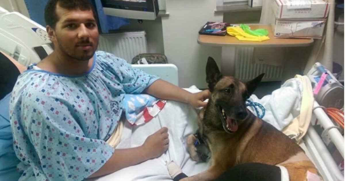 Heroic Injured Soldier And His Dog Share Hospital Bed