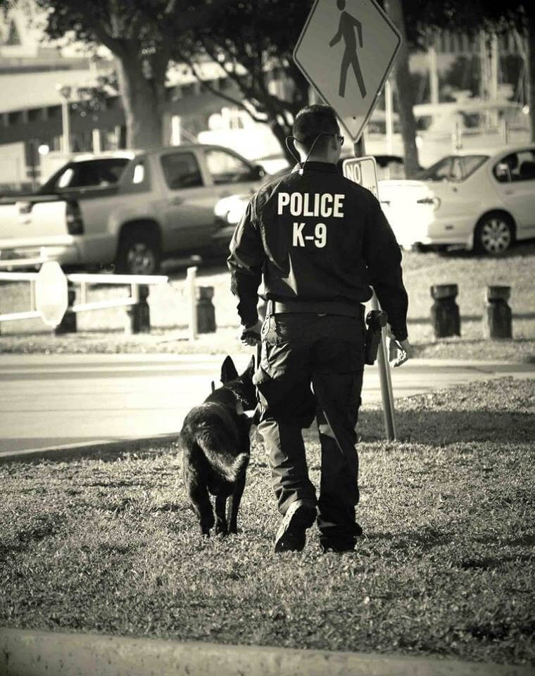 Cop writes letter to his K-9 Officer Pens A Touching Letter To His K-9 Partner