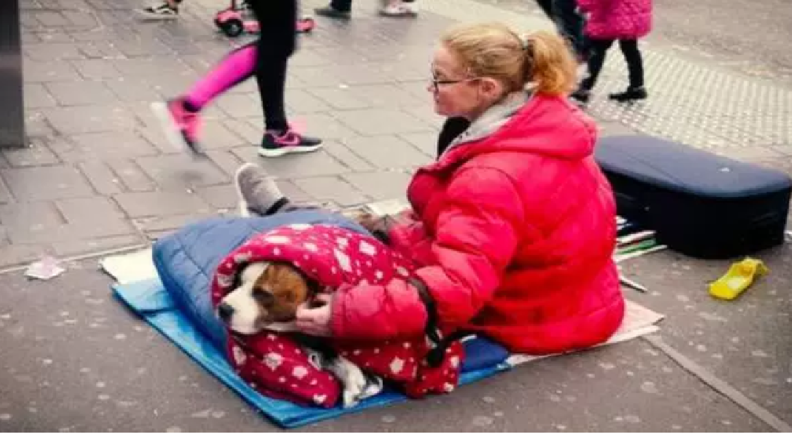 Special Gifts Given To Homeless People For Their Dogs