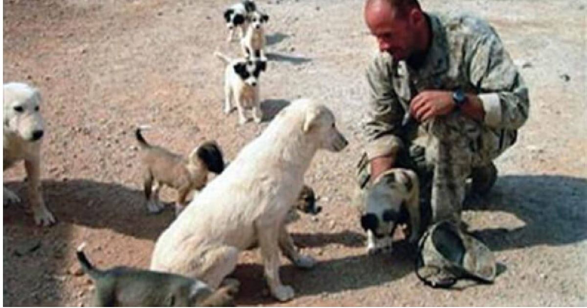 Marine Pens Book About Dog Rescued From Iraq
