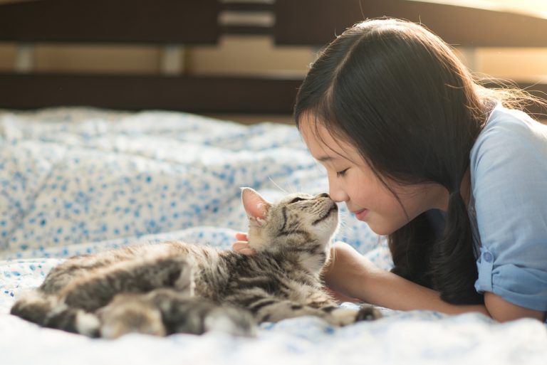 clinic hiring professional cat cuddler “Cat Cuddler” Needed For Irish Veterinary Clinic