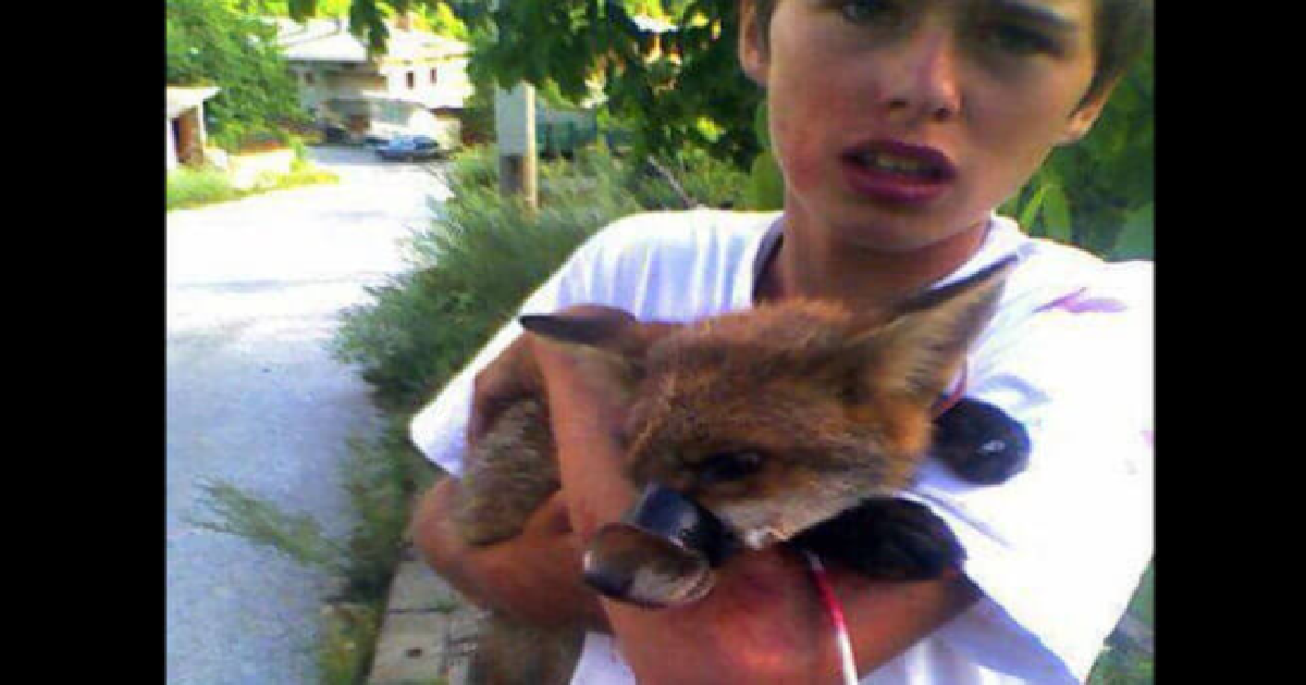 Young Man Rescues Fox Being Abused By A Group Of Men