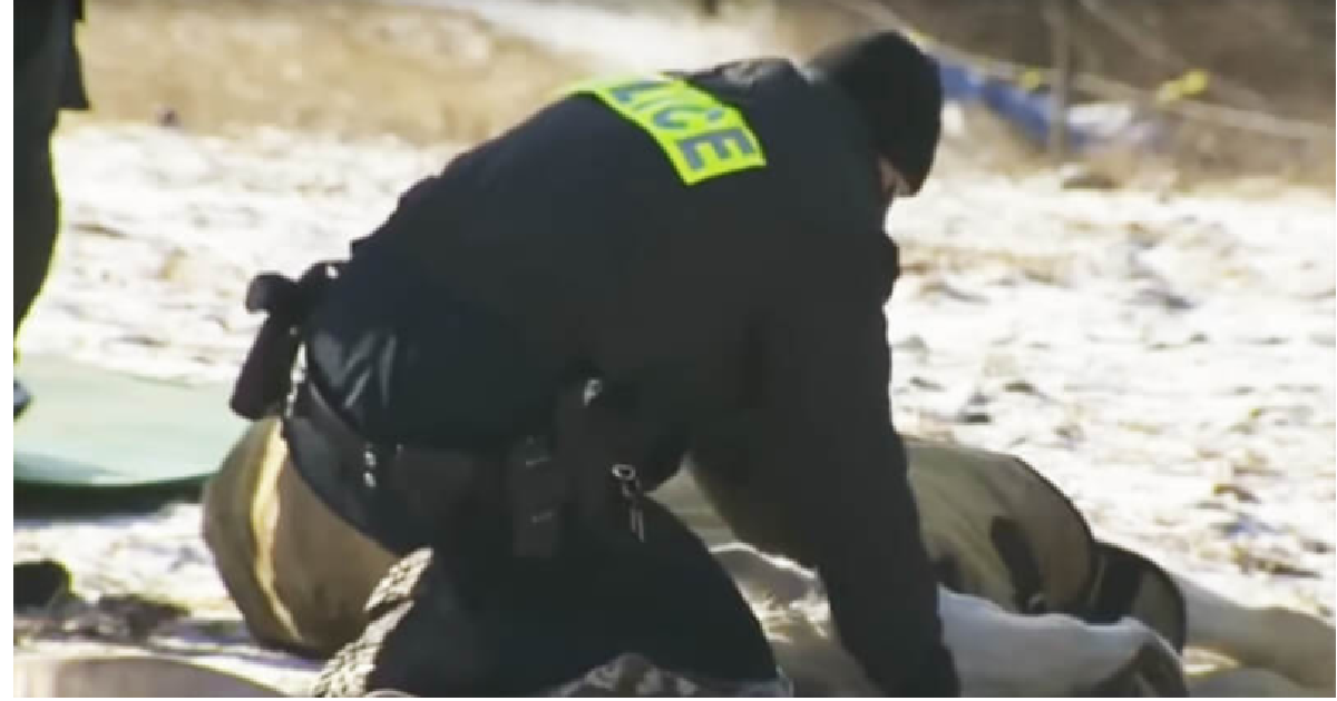 Officer Rescues Horse After He Collapsed On Icy Ground