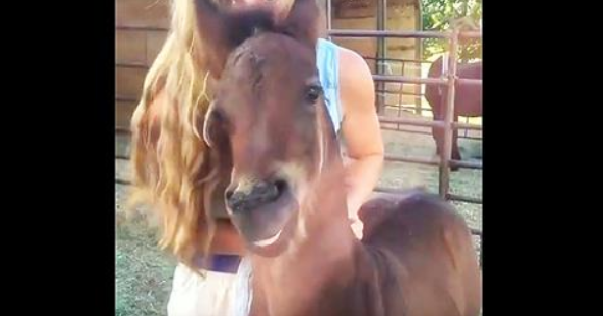 Owner Lovingly Bonds With Her Third-Generation Horse