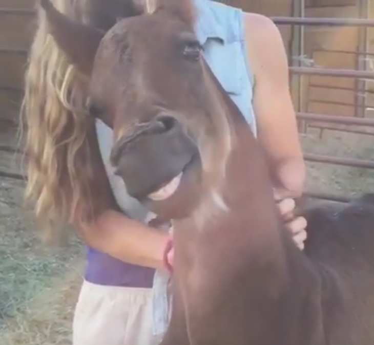 human-horse bonding Owner Lovingly Bonds With Her Third-Generation Horse