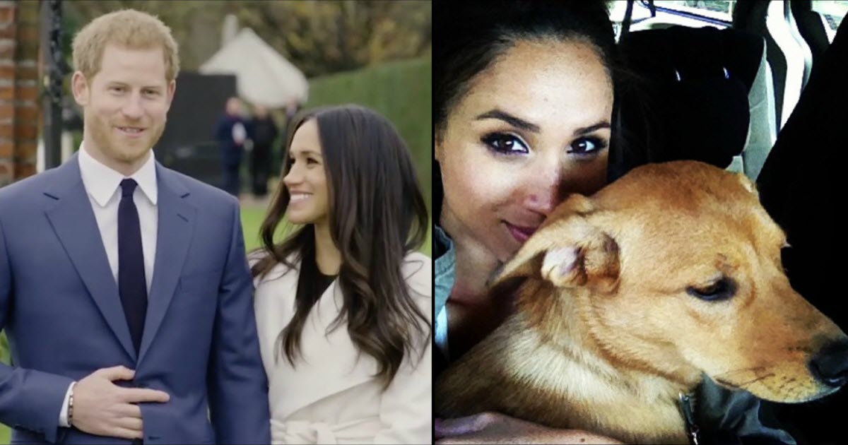 Meghan Markle Leaves Behind Her Beloved Rescue Dog After Moving Overseas To Marry Prince Harry