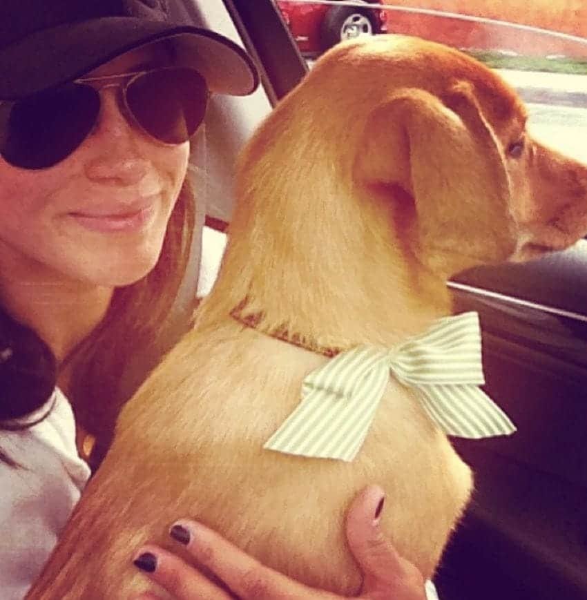 Meghan Markle rescue dog