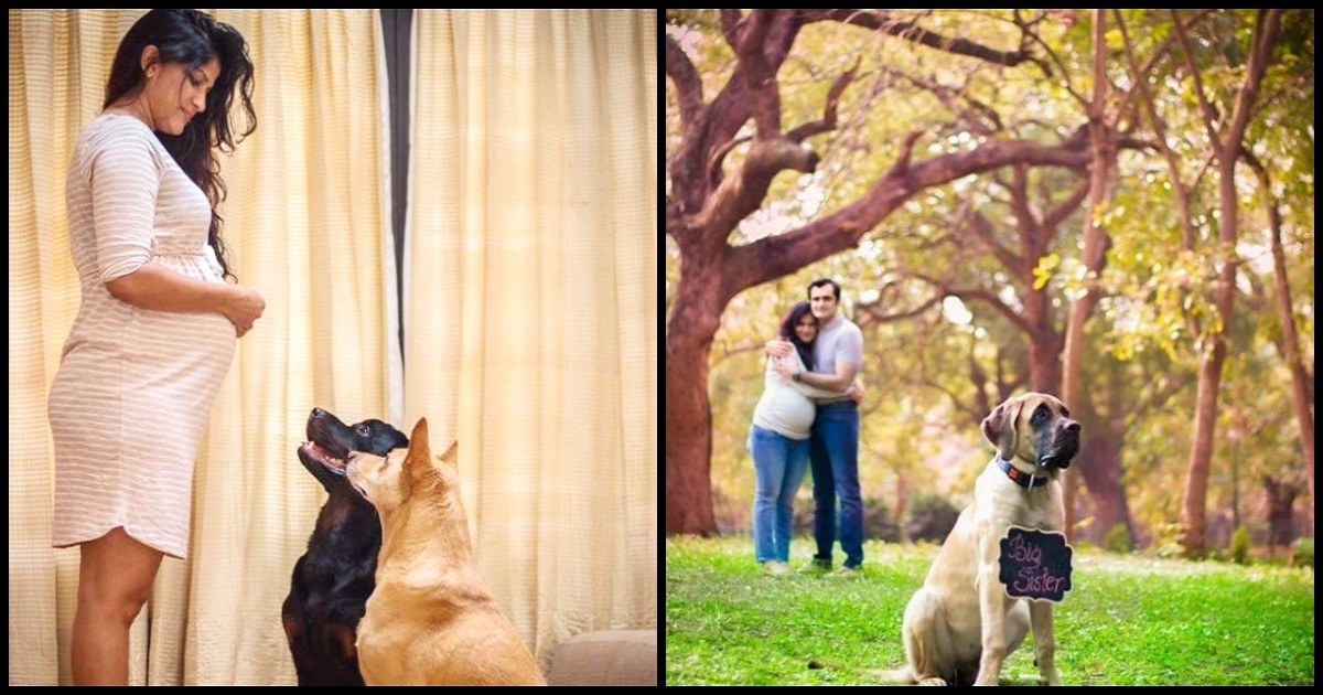 Family Orders Pregnant Woman To Get Rid Of Her Dogs, Then She Poses For Revenge Photo Shoot