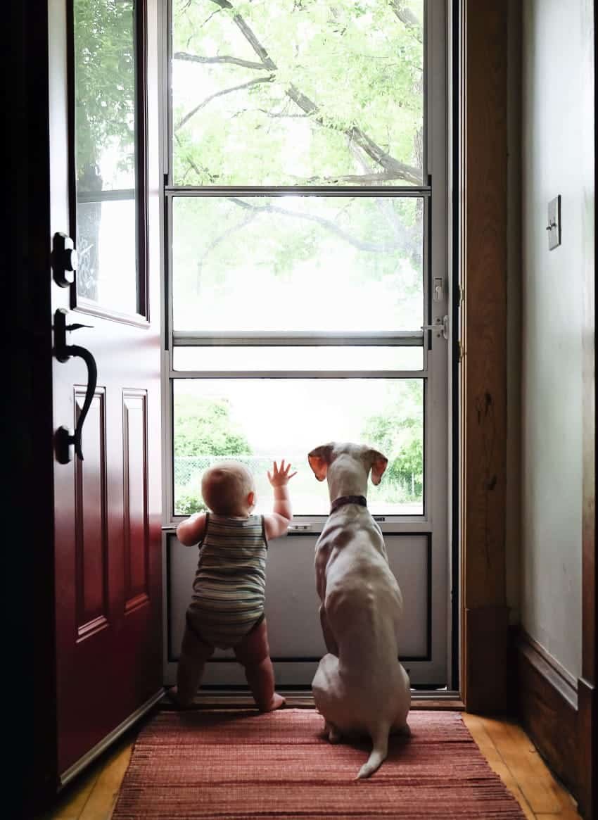 dog and newborn nap time