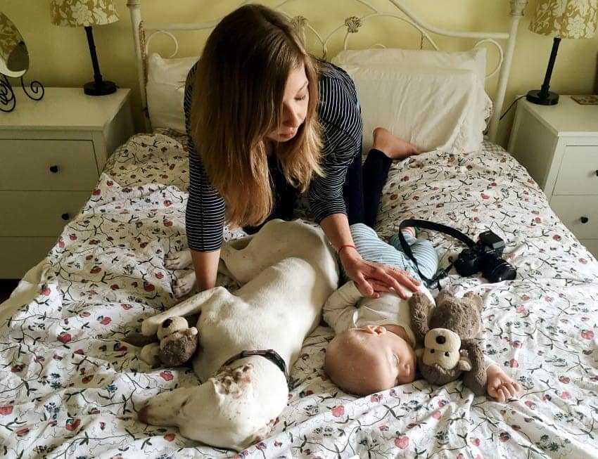 dog and newborn nap time