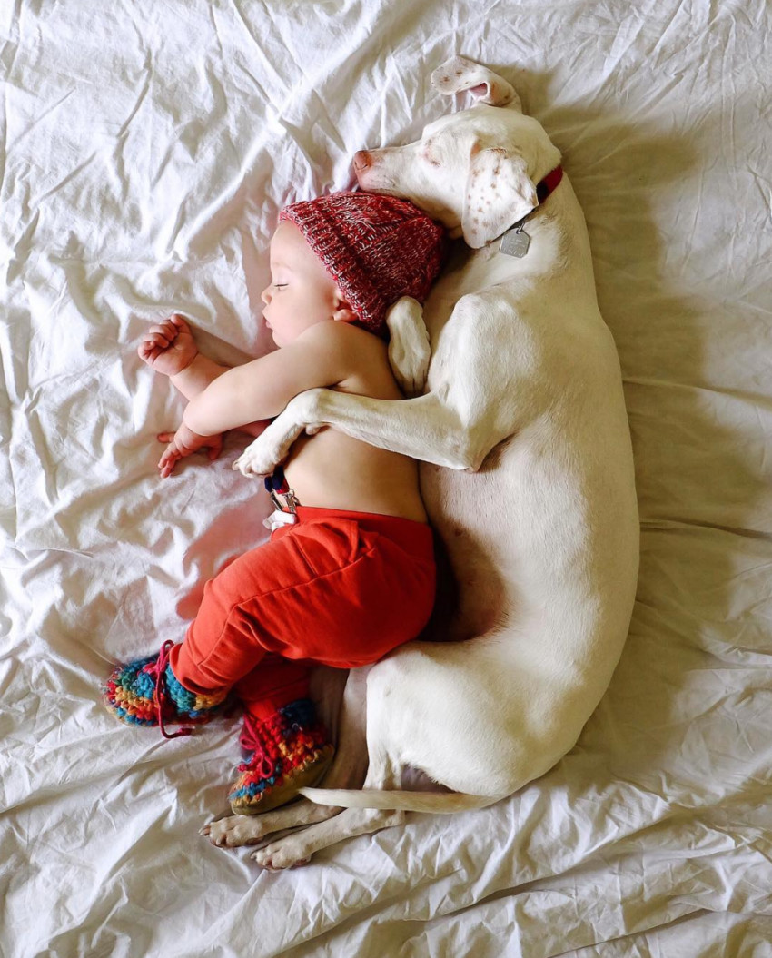 dog and newborn nap time