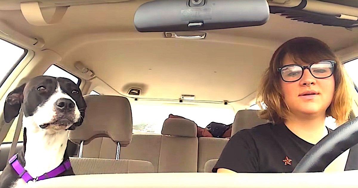 Dog Lets Loose The Moment She Hears Michael Jackson On The Radio With Her Mom