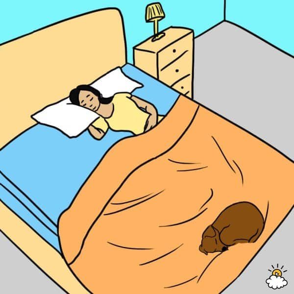 health benefits sleeping with dog