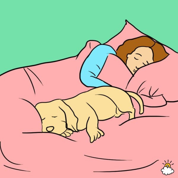 health benefits sleeping with dog
