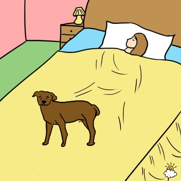 health benefits sleeping with dog