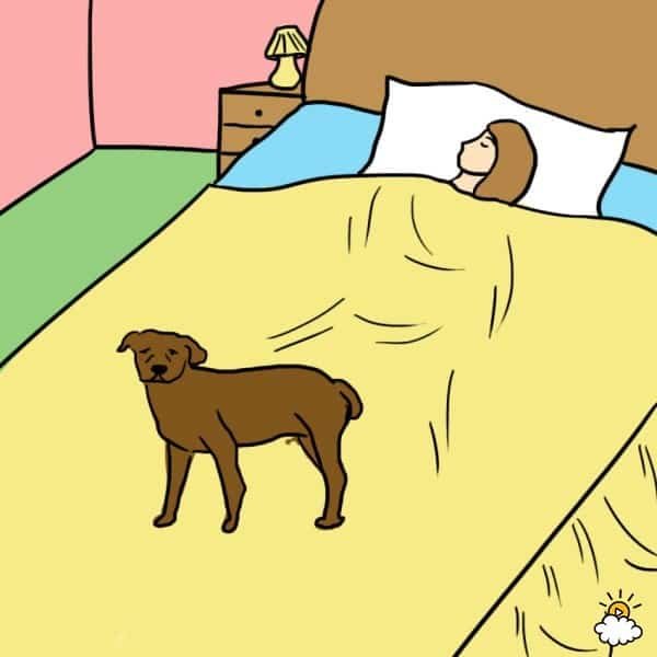 health benefits sleeping with dog