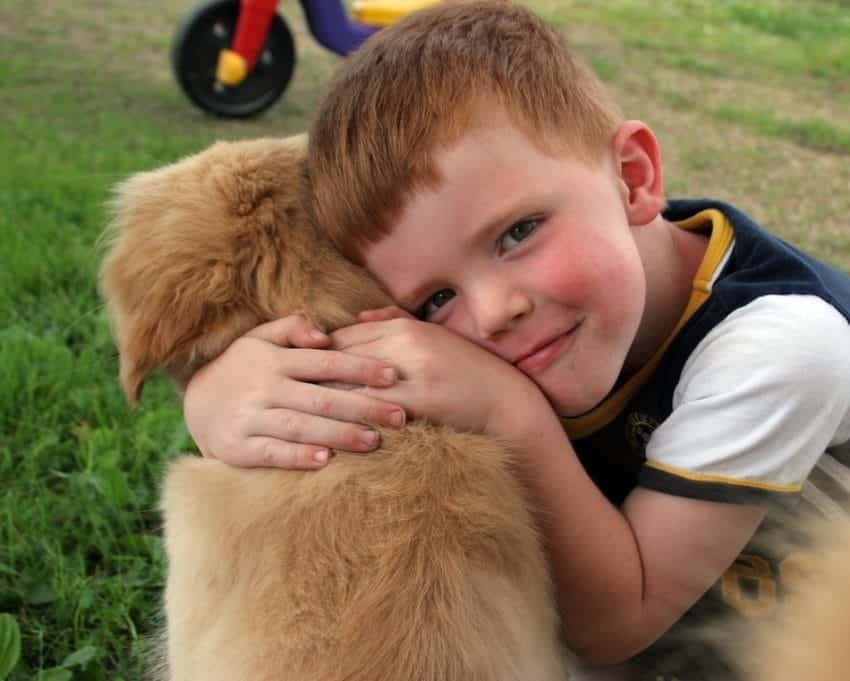 humans love dogs study