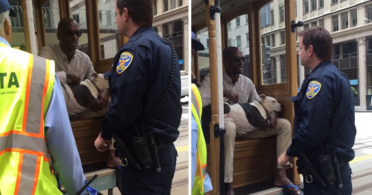 Cable Car Driver Glares At Calm Pit Bull Service Dog, Then Calls The Cops To Remove Him