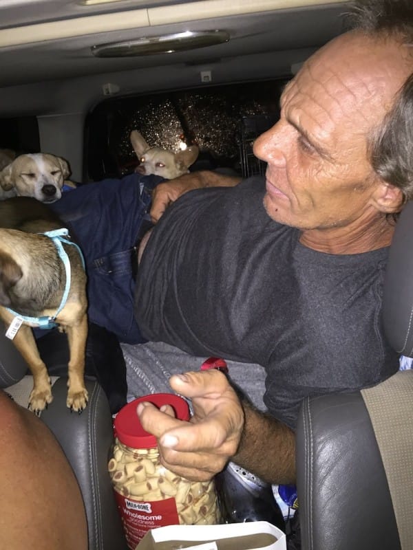 homeless man saves stray dogs