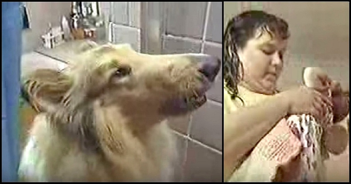 Mom’s Angry When Family Dog Barges Into Bathroom Shower, Then Sees Her Baby’s Lips Are Blue