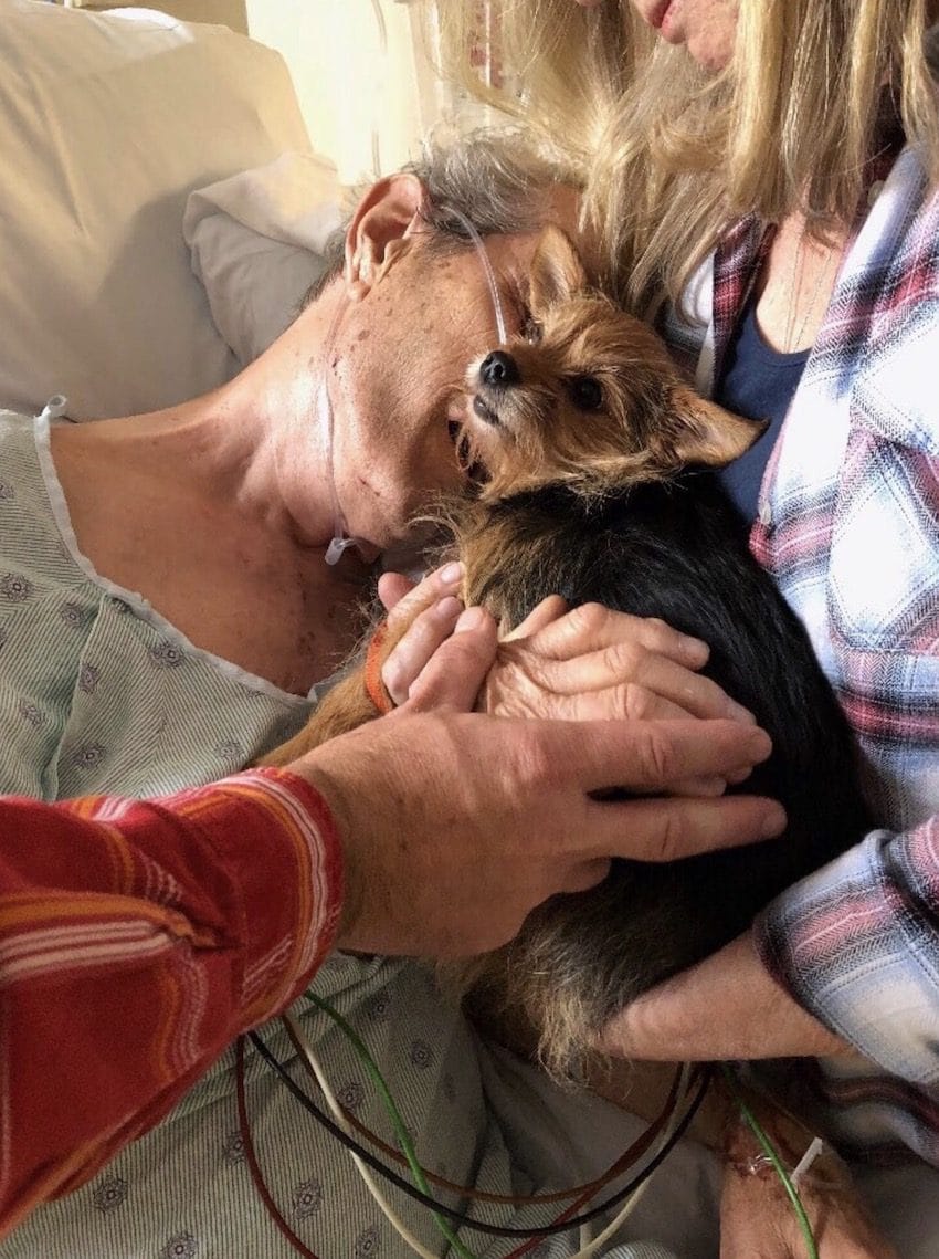 nurses help sneak dog into hospital