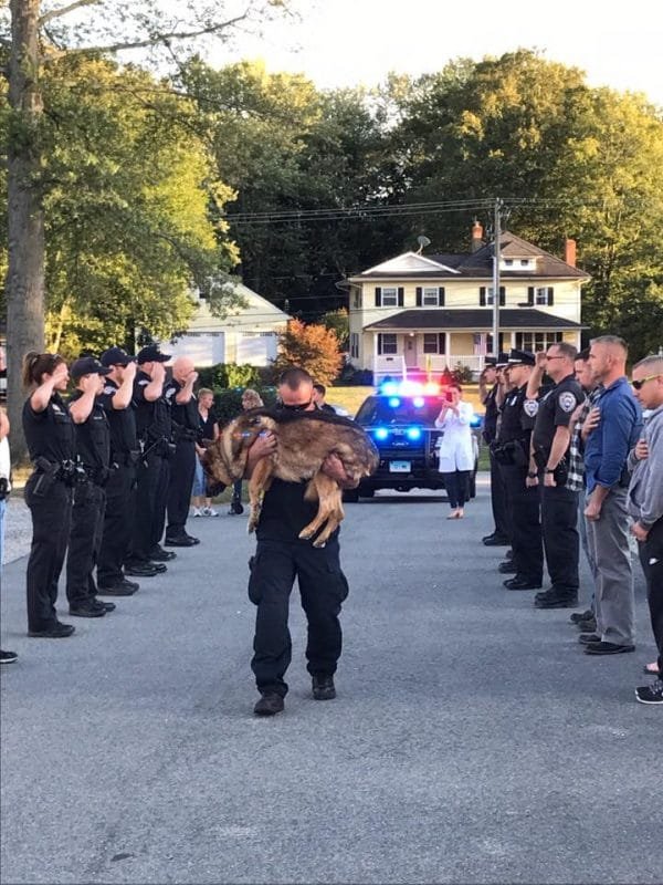 officer says goodbye to k9 partner