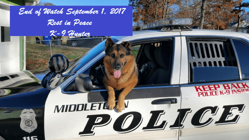 officer says goodbye to k9 partner