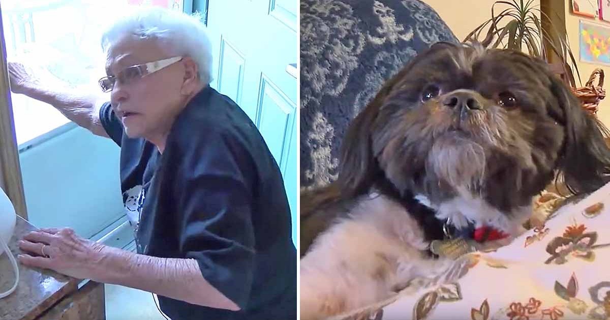 Grandma Falls And Can’t Get Up, Then She Whispers In Dog’s Ear To Get Help