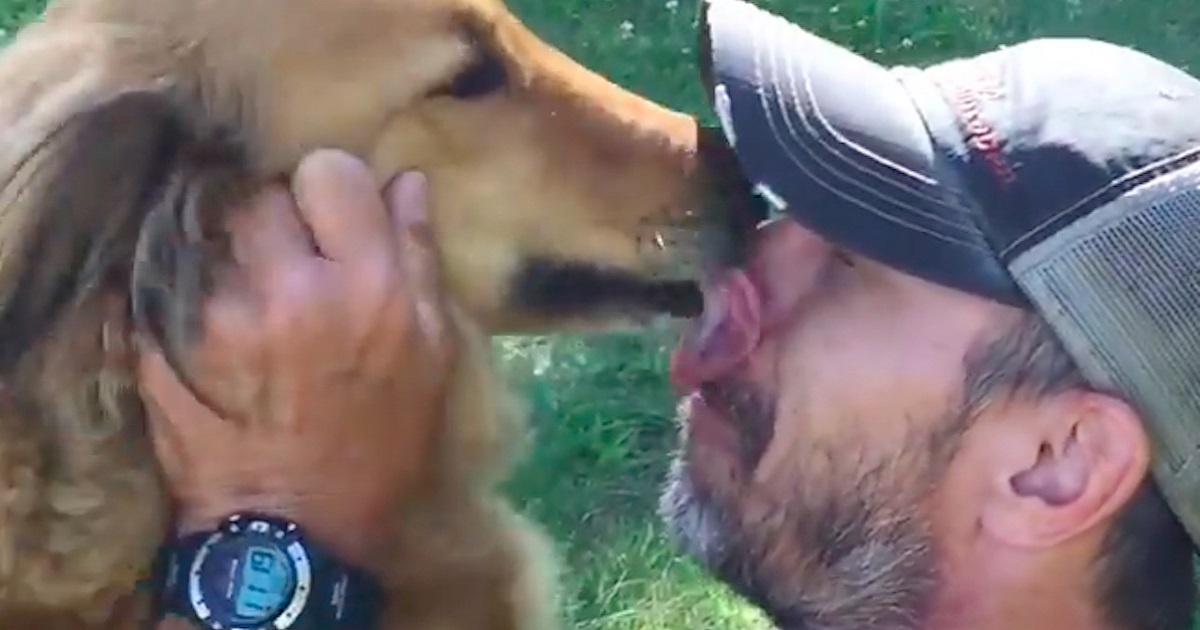 Man Drives 20 Hours To Get A Kiss From His Dog That He Thought Was Dead