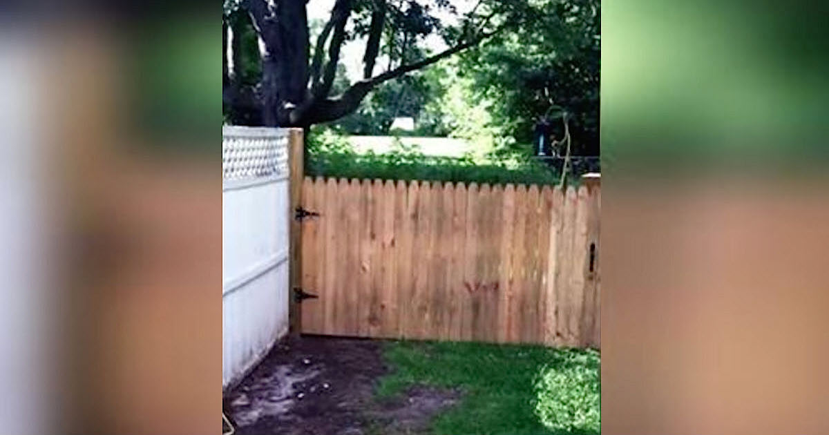 Dad Spends All Day Building A Fence For His Dog. 13 Seconds Later, He Realizes She Tricked Him