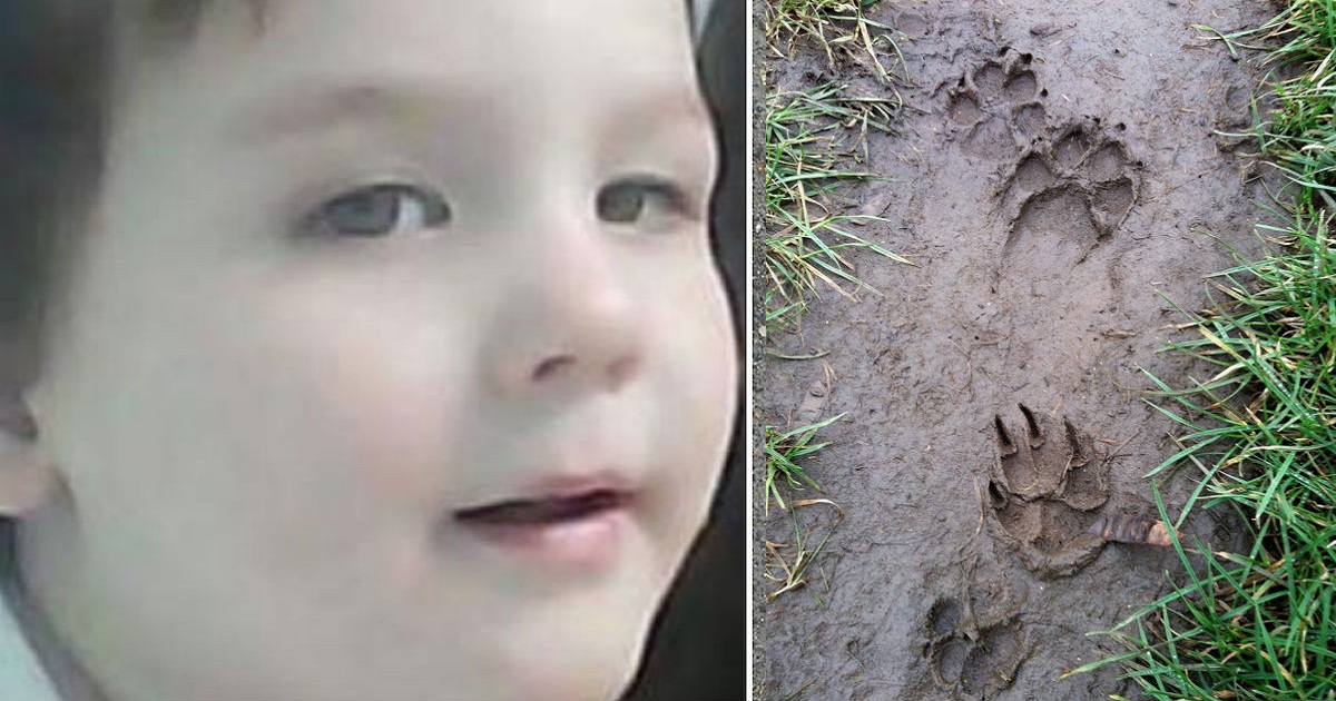 2-Year-Old Boy Vanishes And Police Follow Paw Prints Through The Woods To Solve His Case