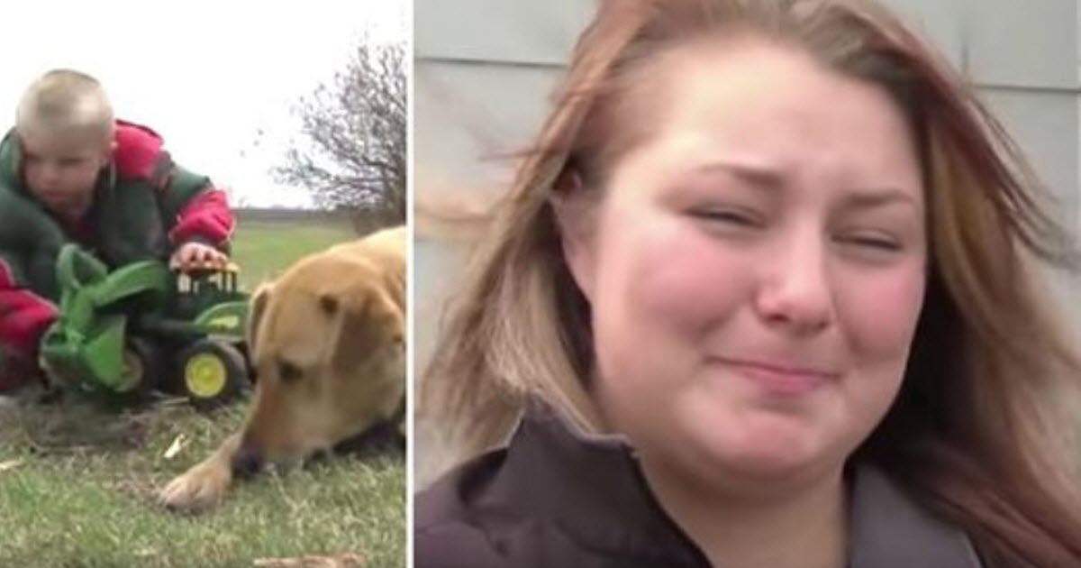 3-Year-Old Disappears From Yard, Then Rescuers Spot Family Dog Lying On Top Of Him In A Field