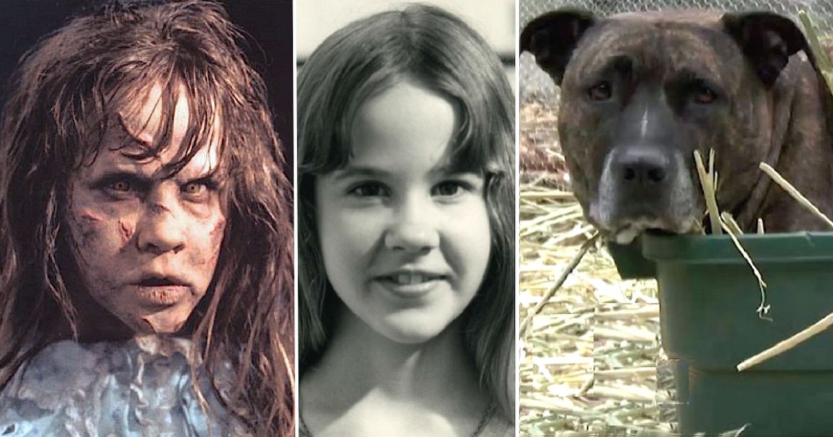 After ‘The Exorcist’ Linda Blair Encountered ‘Evil’ Pit Bull Who Changed Her Life’s Direction